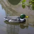 thumbnail image 3 of 1 Pcs Realistic Floating Mallard Duck Decoy for Hunting Garden Decor, Plastic Simulation Duck for Outdoor Use, 3 of 8