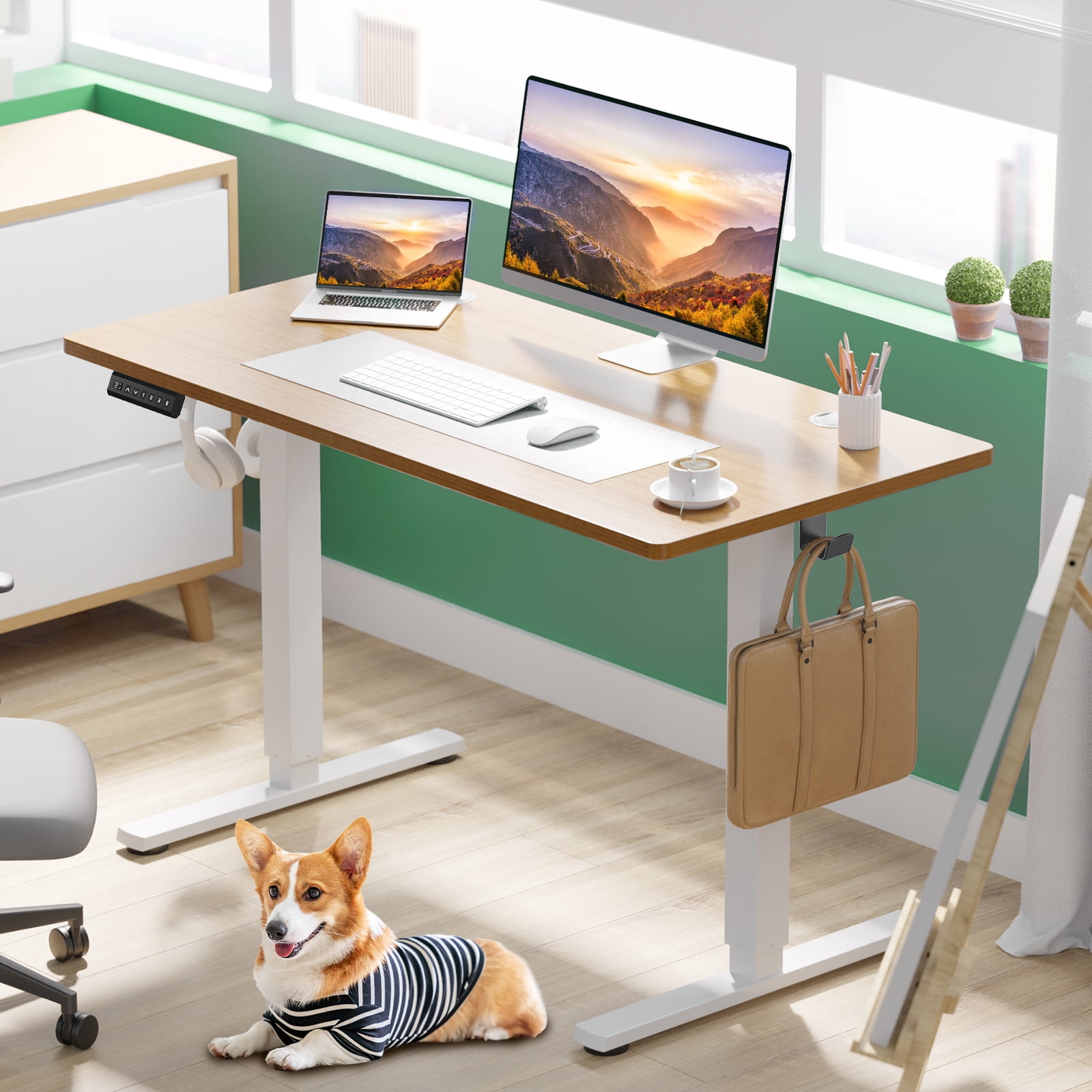edx Electric Standing Desk, Height Adjustable Desk, 40 x 24 Inches Ergonomic Stand up Desk