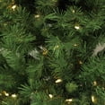 thumbnail image 5 of Northlight 7' Prelit Artificial Christmas Tree Slim LED Glacier Pine - Multicolor Lights, 5 of 5