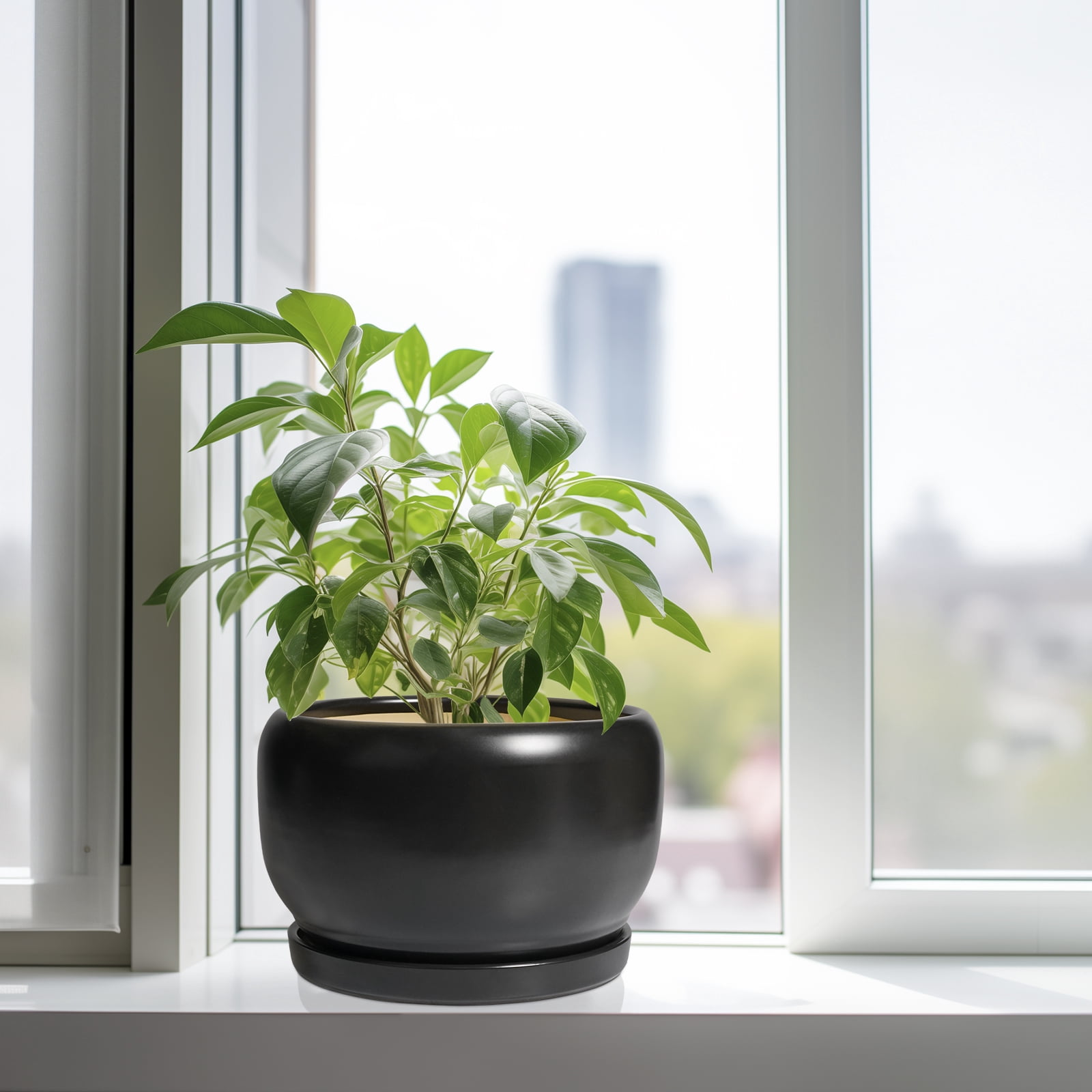 10 inch Pots for Plants, Large Round Ceramic Planter with Saucer & Drainage, Modern Flower Pot for Live Houseplants & Office Decor, Matte Black