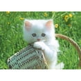 thumbnail image 1 of Pintura de diamante (DE4735) 5D DIY cesta de gato bordado cuadrado decoración del hogar 40x50cm FLhrweasw Nuevo, 1 of 1