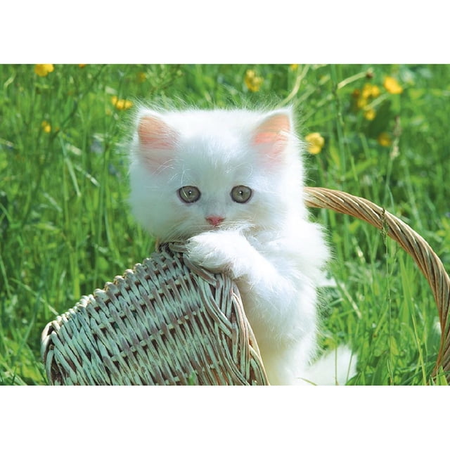 Pintura de diamante (DE4735) 5D DIY cesta de gato bordado cuadrado decoración del hogar 40x50cm FLhrweasw Nuevo
