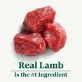 thumbnail image 4 of Nutro Natural Choice Small Bites Lamb & Brown Rice Recipe Adult Dry Dog Food 10kg, 4 of 17