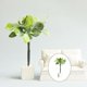 thumbnail image 1 of Casa de muñecas CUTICAT miniatura 1:12 decoración bonsai juguetes, 1 of 8