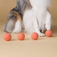 thumbnail image 3 of Harry Barker Durable All-Natural Rubber Balls for Dogs, 2.5" Rubber Balls, Orange, 6 Pack Set, 3 of 7