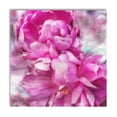 thumbnail image 1 of Gango Home Decor Contemporary Pink Flowers II by Alan Hausenflock (Printed on Paper); One 16x16in Fine Art Paper Giclee Print, 1 of 4