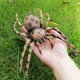 thumbnail image 1 of POINTERTECK Araignées Fausses Réalistes Cricket Coccinelle Insecte Modèle de Simulation, 1 of 3