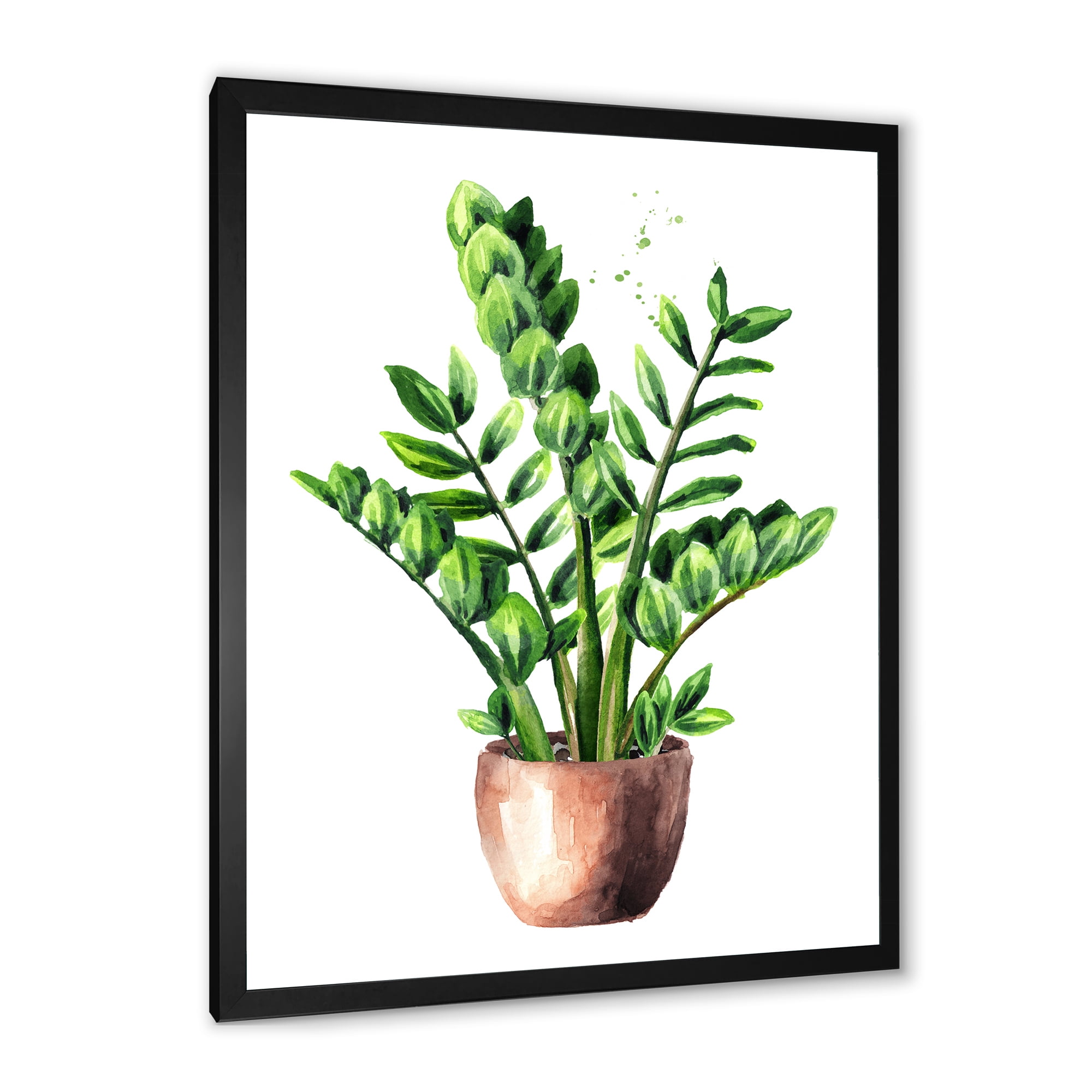 Designart 'Zamioculcas Tropical Plant With Green Leaves On White' Traditional Framed Art Print
