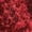 Burgundy, variant on Solid Sequin Boucle Sweaterknit