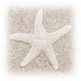thumbnail image 1 of Gango Home Decor In the Sand V by Jim Christensen (Printed on Paper); One 24x24in Fine Art Paper Giclee Print, 1 of 4