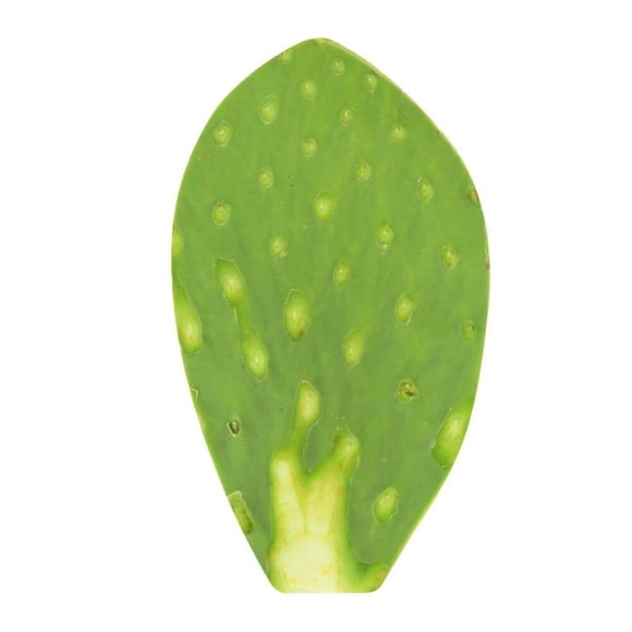 Nopal limpio por kilo