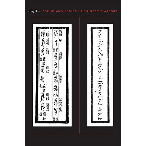 Sound and Script in Chinese Diaspora (Hardcover)