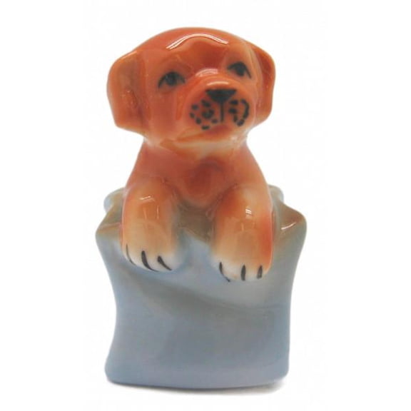 Miniatures Dog In Sack Color