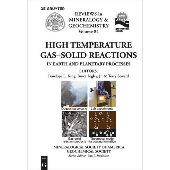 Reviews in Mineralogy & Geochemistry High Temperature Gas-Solid Reactions in Earth and Planetary Processes, Book 84, (Paperback)