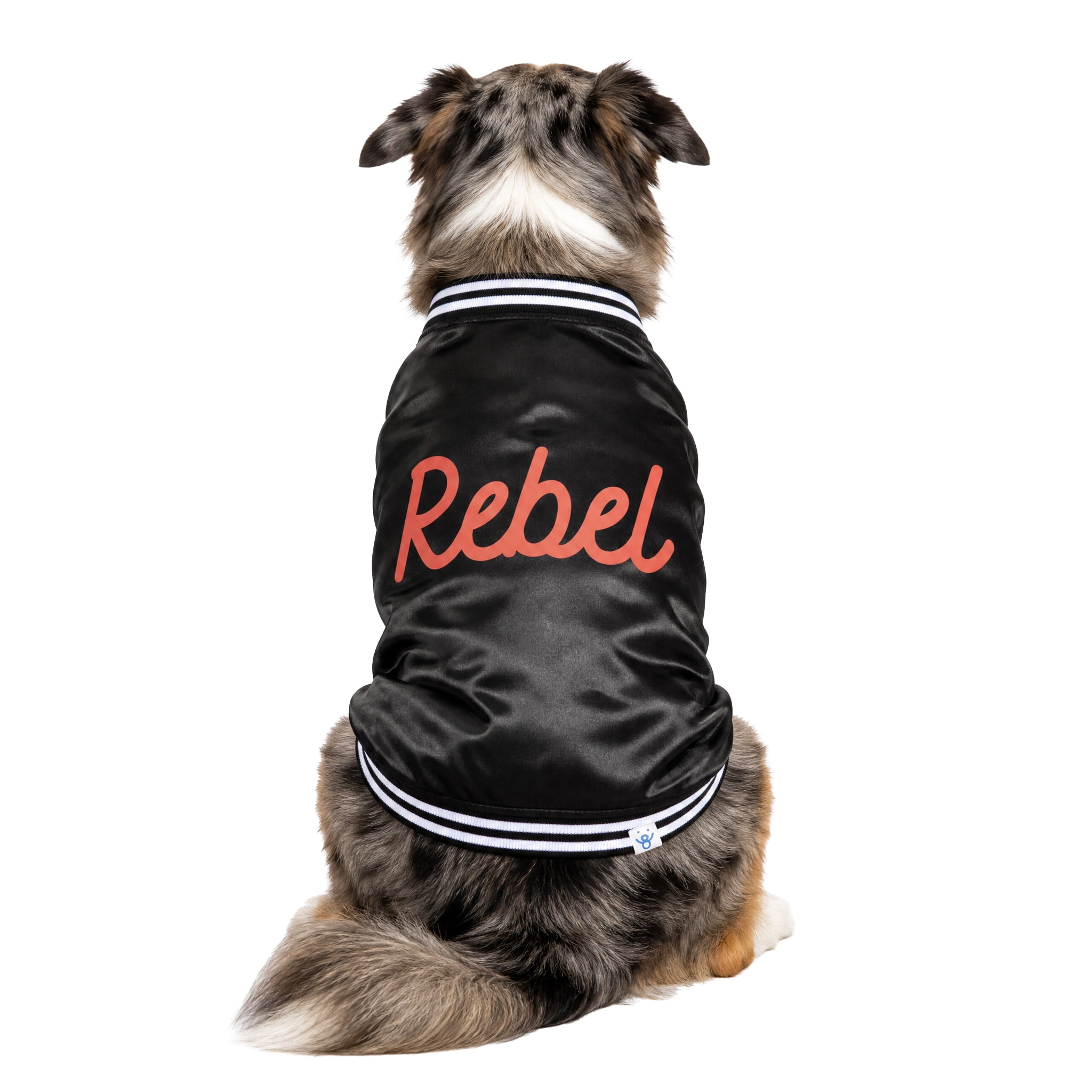 Oodles Rebel Fall Dog Jacket, Black, Large