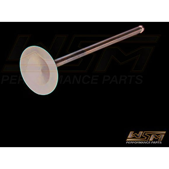 WSM Soupape d'Échappement