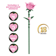 thumbnail image 5 of Brickcraft Bricktanicals Long Stem Rose Building Kit (79-Piece Set), Pink Rose Flower, Valentine's Day Gift, Brick Flower, Floral Decor, Building Set, 5 of 11