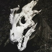 Realistic Movable Dragon Jaw Puppet Toy - Delicate Resin Headgear Decoration - Interactive and Imaginative Toy for Friends