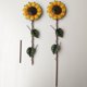 thumbnail image 1 of IDEANATEGRATE 2Ud Varillas Decorativas De Jardín Con Girasol Metálico Amarillo Para Uso En Exteriores, 1 of 8