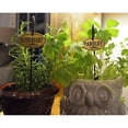 thumbnail image 2 of H300 Plant Markers, Brass Plated Herb s With 10" Stakes, Labels For Herbs In Home, Garden, Greenhouse, Set Of 8, 2 of 7