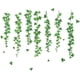 thumbnail image 1 of Pegatinas de pared de enredaderas verdes, hojas caídas, pegatinas de pared de enredaderas colgantes, plantas verdes naturales, murales artísticos, papel tapiz de vinilo, 1 of 7