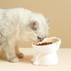 thumbnail image 5 of Comedero elevado de cerámica para gatos | Gran capacidad de 250 ml | Diseño ancho y poco profundo para aliviar la fatiga de los bigotes y brindar soporte al cuello | Comedero y bebedero fácil, 5 of 6