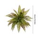 thumbnail image 3 of CaiYueKe Artificial Boston Fern Plants Bushes Fake Shrubs Bush Greenery Plants Faux Fern Plant for Outdoors UV Resistant Garden Plants or Home Office Desk Indoor Decor, 3 of 7