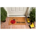 thumbnail image 2 of Calloway Mills 121431729 Ladybug Tapis de Bienvenue 17 Pouces x 29 Pouces, Multicolore, 2 of 2