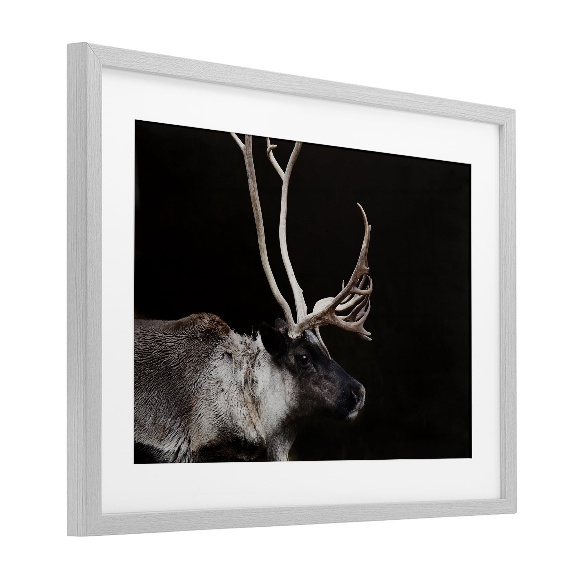 Stupell Industries Dark Reindeer at Night Gray Framed Print Under Glass, design by Amy Carroll