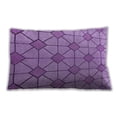 thumbnail image 1 of Ahgly Company Indoor Rectangular Contemporary Lumbar Throw Pillow, 13 inch by 19 inch, 1 of 5