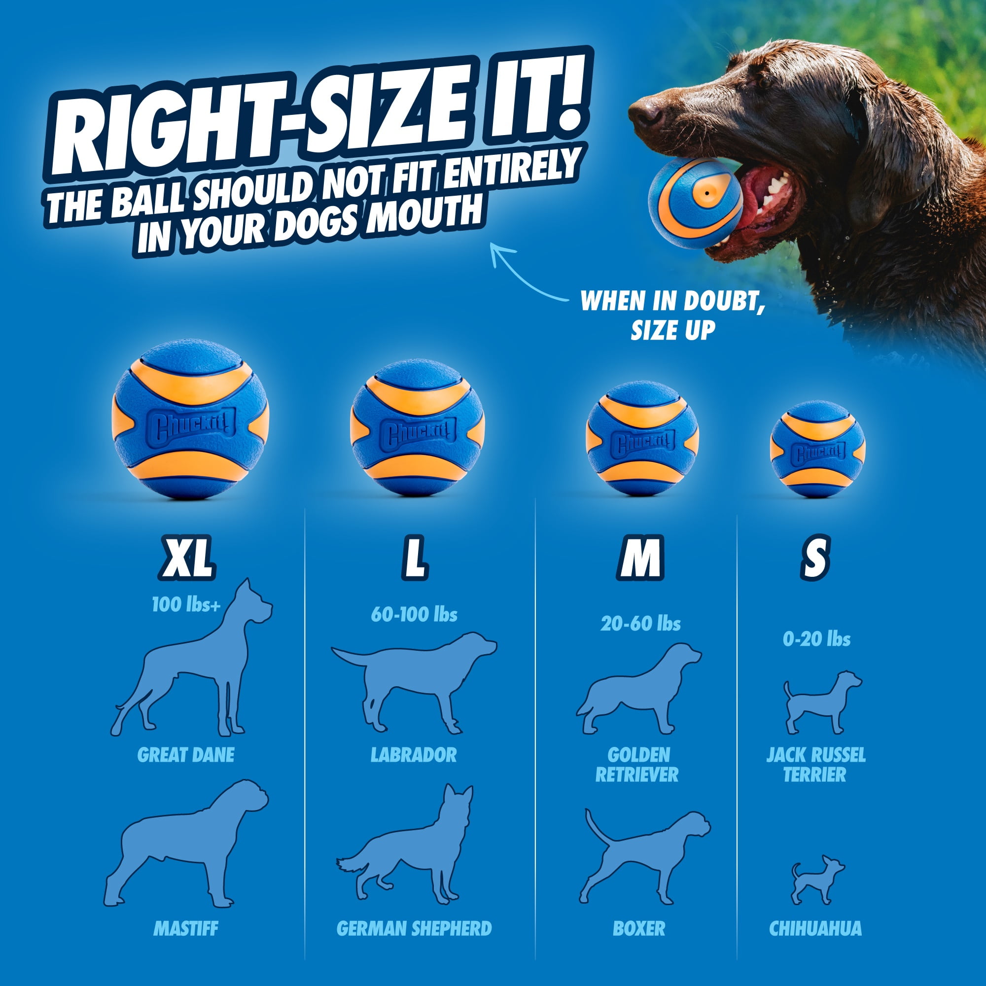 Chuckit! Sonic Ultra Squeaker Ball & Super Crunch Ball Fetch Dog Toy, Medium 2.5" for Dogs 20 to 60 lb, Blue, Pack of 2
