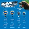thumbnail image 6 of Chuckit! Sonic Ultra Squeaker Ball & Super Crunch Ball Fetch Dog Toy, Medium 2.5" for Dogs 20 to 60 lb, Blue, Pack of 2, 6 of 8