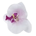 thumbnail image 4 of Lote de 60 Pcs de Mariposa Orquidea de 9 cm Cabeza de Flor Artificial Decoracion para Boda Accesorio para Broche para El Pelo, 4 of 4