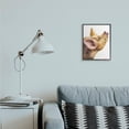 thumbnail image 3 of Stupell Industries Oxford Sandy Piglet Adorable Farm Animal Gaze Grey Framed, 11 x 14, Design by George Dyachenko, 3 of 5