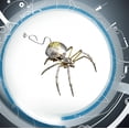 thumbnail image 3 of Rompecabezas Metálico Lovewenying Modelo Mecánico de Araña Steampunk, 3 of 9