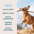 thumbnail image 5 of VetIQ 8-in-One Multifunctional Supplements for Dogs, Supports Hip & Joint, Urinary Tract, Immune System, Skin Health and Heart Health, Soft Chews, 60 Count, 5 of 11