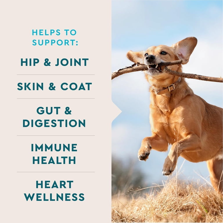 Vet IQ 8-in-1 Multifunctional Soft Chews for Dogs, 60 Count photo 4