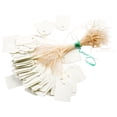 thumbnail image 1 of MYG 100PCS Multi Colors Waterproof Plastic Label Sign Gardening Plant Hanging Tags, 1 of 10