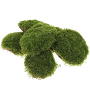 SKISUNO 6Pcs Moss Stone Props for Micro Landscape and Terrarium Moss Decoration