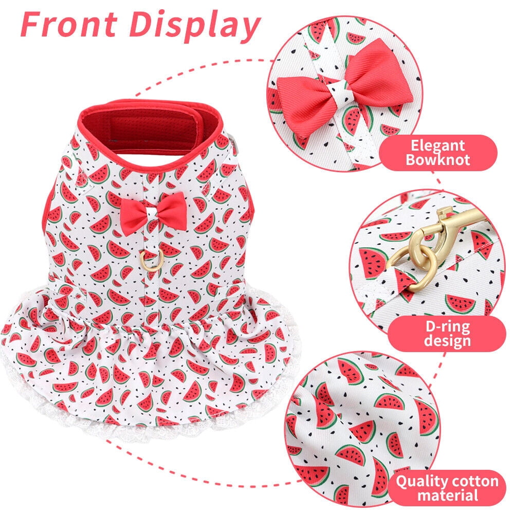 Didog Female Dog Harness Dress and Leash Fancy Small Pet Cat Summer Vest Clothes Yorkie