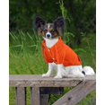 thumbnail image 3 of Ropa para mascotas, suéter para perros, vestidos para perros, suéter para cachorros, abrigo cálido para perros, perros pequeños, Chihuahua, cachorro, caniche de peluche (S, naranja) JFHHH pequeña, 3 of 5