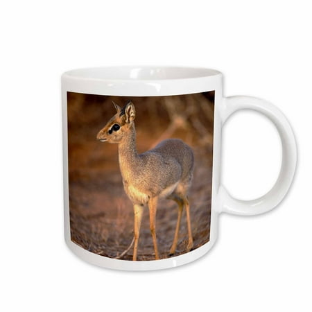 

3dRose Kenya Samburu Guenthers Long-Snouted Dik-Dik antelope-AF21 AJE0388 - Adam Jones Ceramic Mug 15-ounce