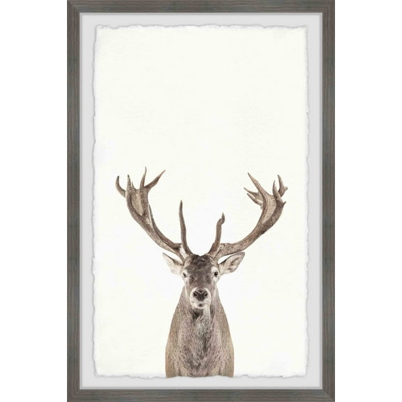 Marmont Hill Reindeer Close-Up Framed Wall Art, 8.00" x 1.50"