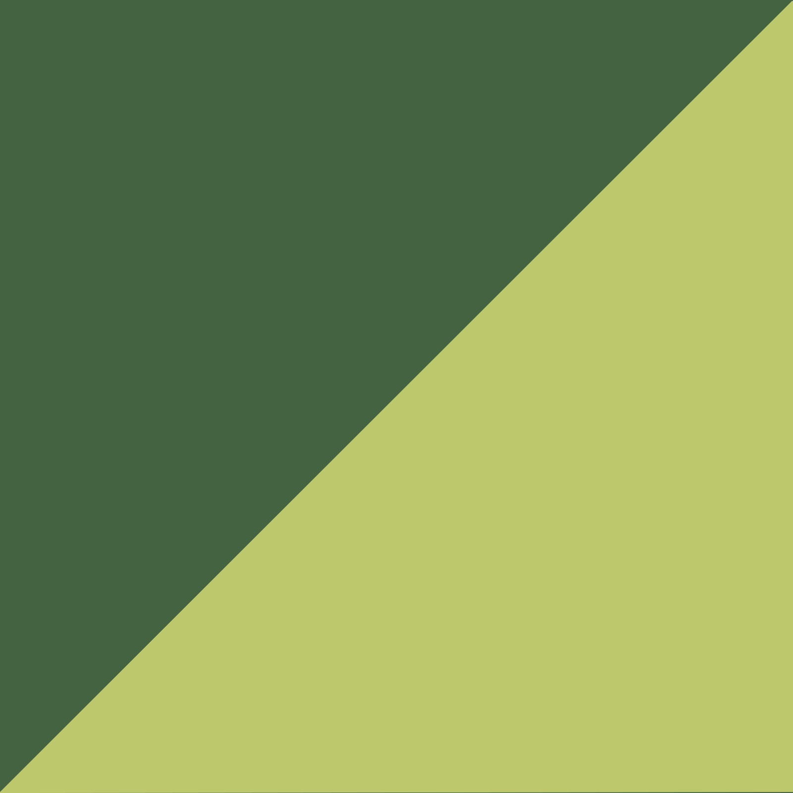 Avocado Green