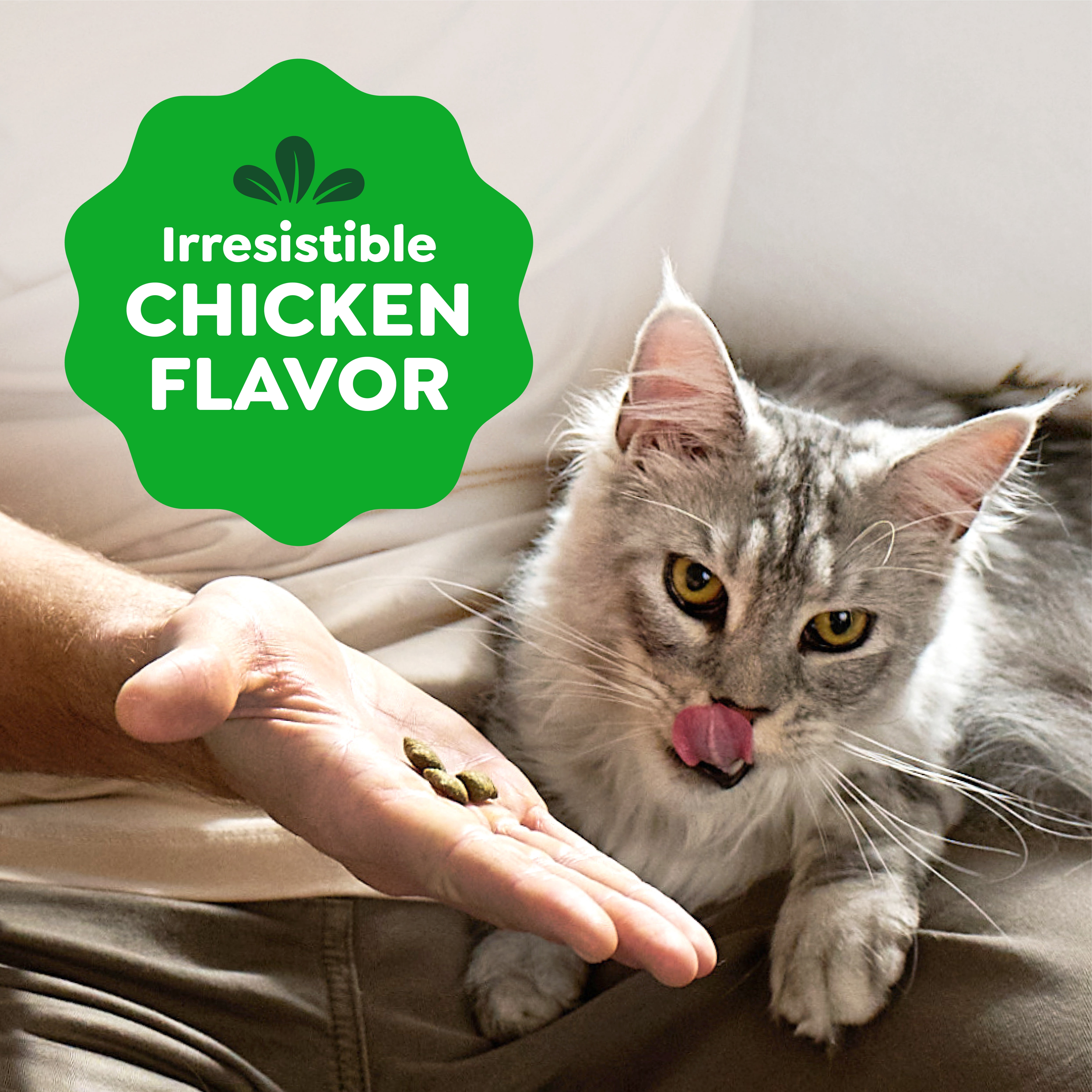 Greenies Feline Smartbites Chicken Flavor Skin & Fur Health Cat Treats, 4.6 oz Pack