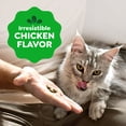 thumbnail image 4 of Greenies Feline Smartbites Chicken Flavor Skin & Fur Health Cat Treats, 4.6 oz Pack, 4 of 8