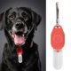 thumbnail image 2 of Collar LED para mascotas para seguridad nocturna con hebilla ajustable Collar luminoso para perros, 2 of 7