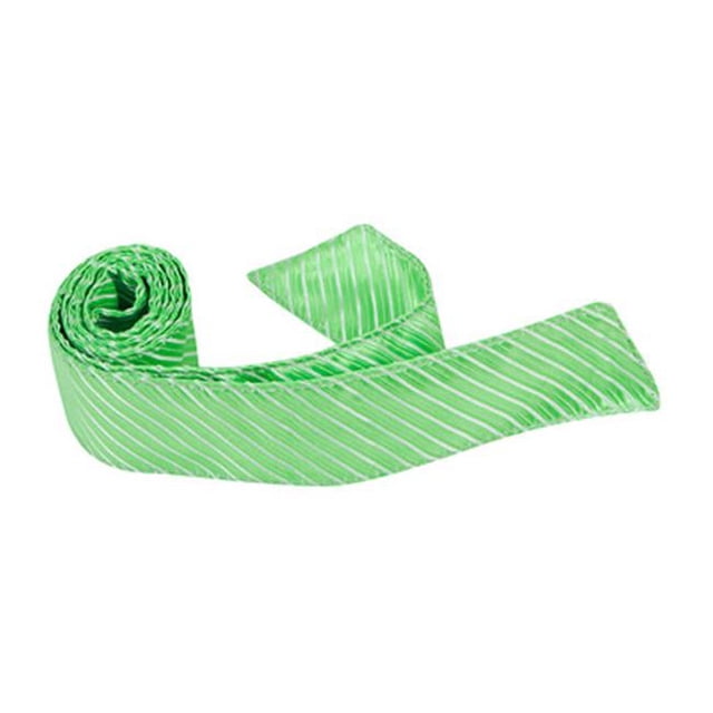 Matching Tie Guy 4079 G6 HT - 42 Po. Enfant Cravate Assortie - Verte