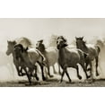 thumbnail image 2 of Bartsch, Heidi 14x11 Black Ornate Wood Framed with Double Matting Museum Art Print Titled - Horse, 2 of 4