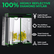 ALPHAGROW 2 x 4 ft 600D Canvas Grow Tent Kit with 33 W LED Light and 6 in Inline Fan and Carbon Filter